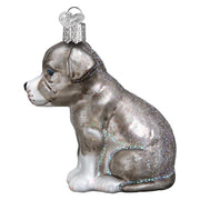 Old World Christmas Pitbull Pup Ornament