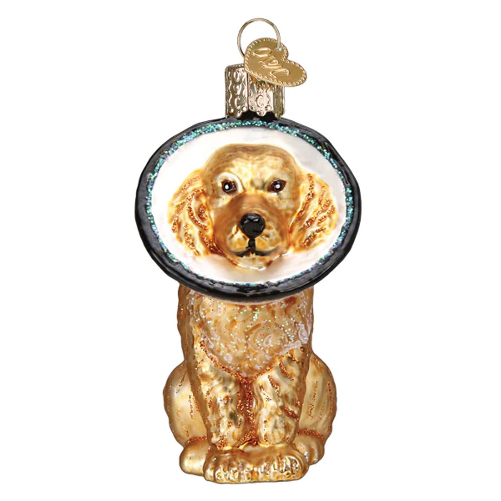 Cone Of Shame Dog Ornament - Thumbnail 5