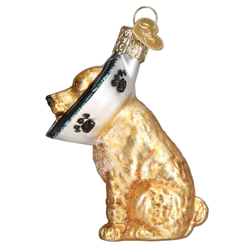Cone Of Shame Dog Ornament - Thumbnail 3