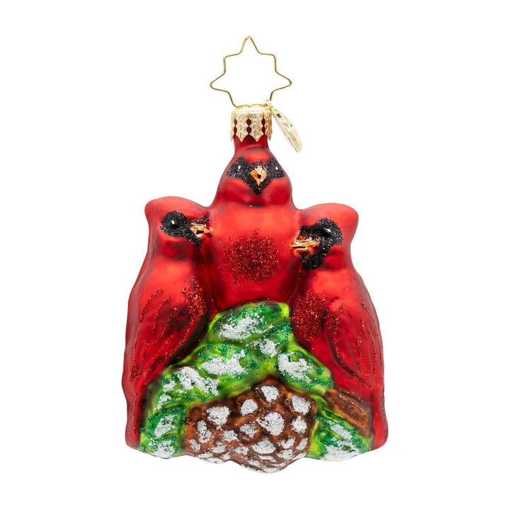 Christopher Radko Cardinal Garden Greetings Gem Christmas Ornament