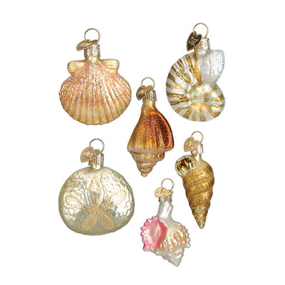 Old World Christmas Assorted Sea Shell Ornament Set